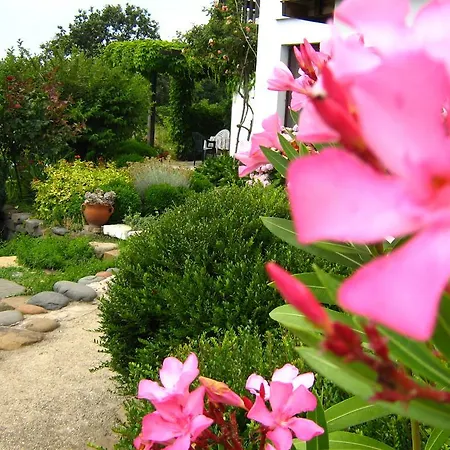 South Beach Синеморец