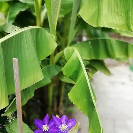 South Beach Къща за гости 2*