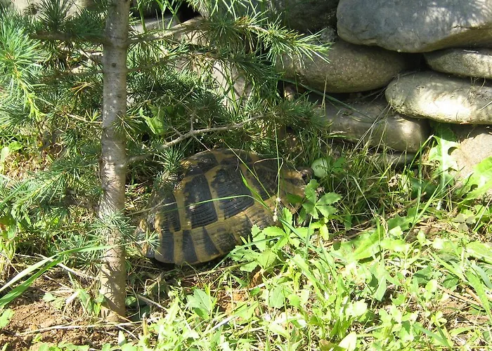 South Beach Гостевой дом 2*