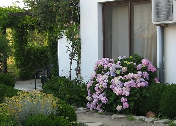 Гостевой дом South Beach