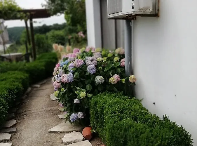 South Beach 2* Синеморец