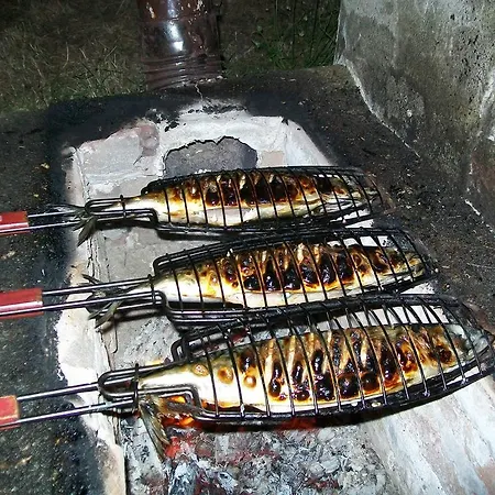 Pensionat South Beach Sinemoretz