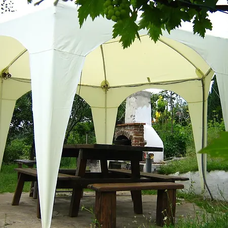 South Beach Pensionat Sinemoretz