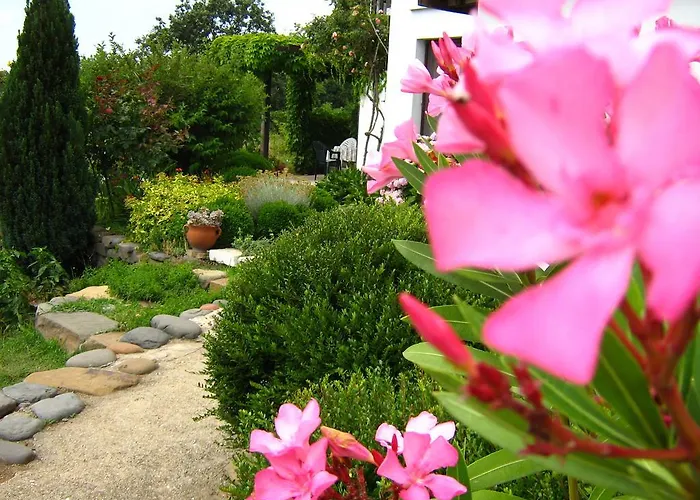 South Beach Синеморец