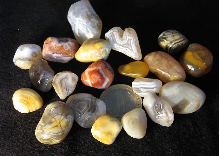 South Beach Синеморец