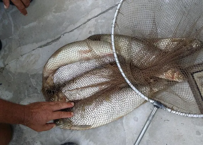 Гостевой дом South Beach