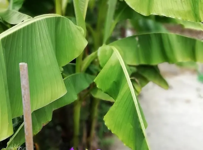 South Beach Гостевой дом 2*