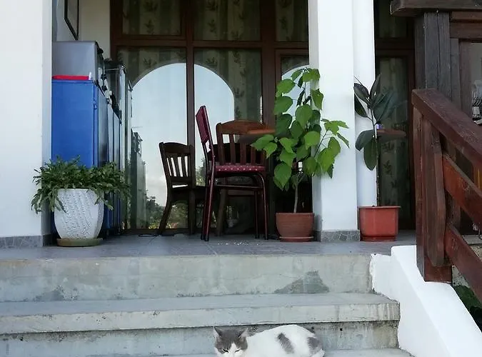 Гостевой дом South Beach Синеморец